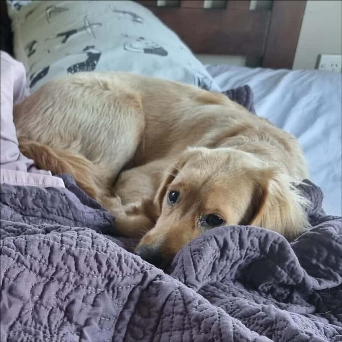Nap time relaxation