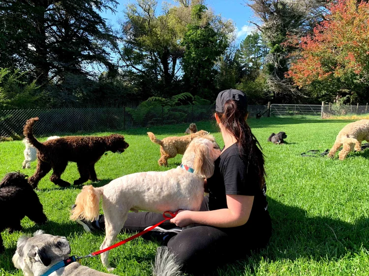 Supervised field exploration and country air