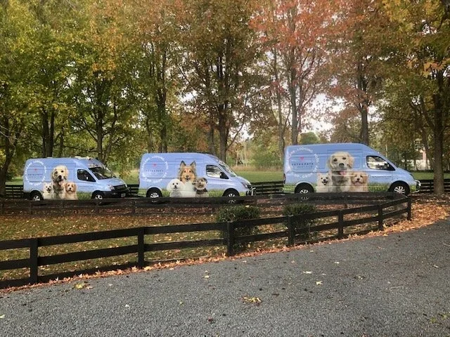 Custom-built Pupbuses providing stress-free transport
